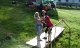 2007-07-29_06-AnderVroniBrueckeTanzen